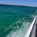 glass bottom dolphin cruise near me