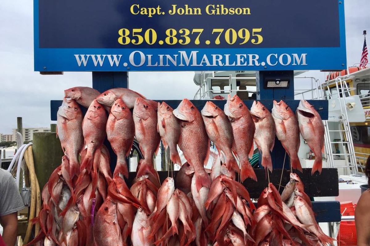 Fort Walton Beach fishing party boat charters are kid friendly