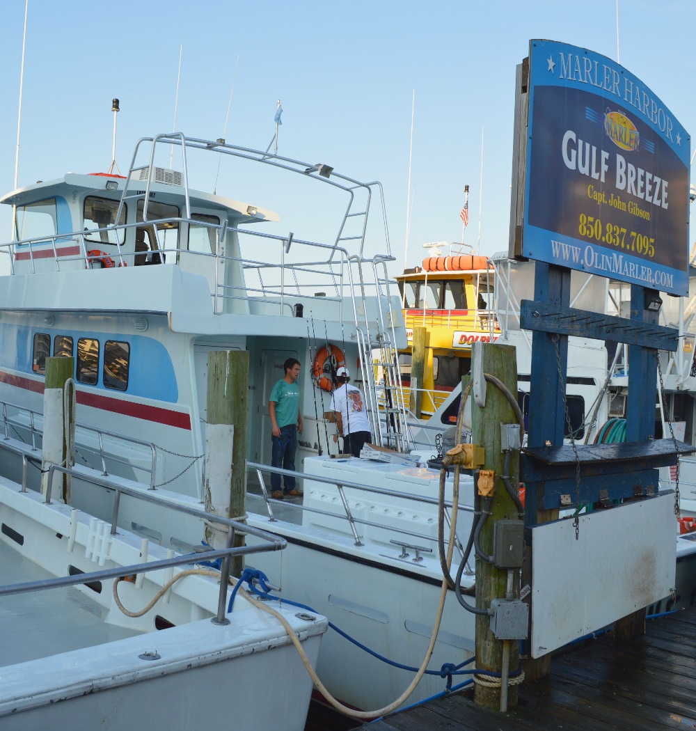 Olin Marler Charter Boats Book Family Friendly Dolphin Tours