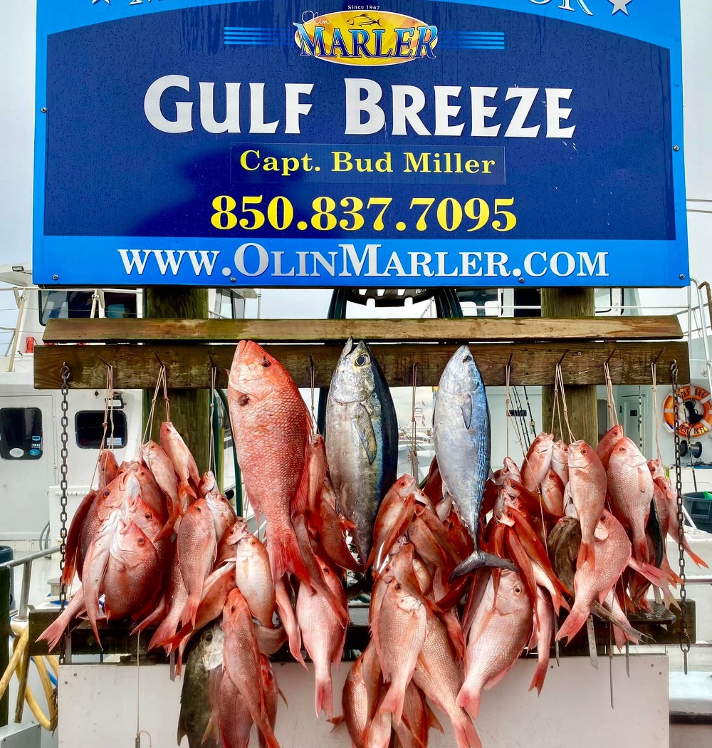 Olin Marler Charter Boats Destin Family Friendly Dolphin Tours